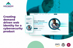 Demand driven web identity for a cybersecurity product
